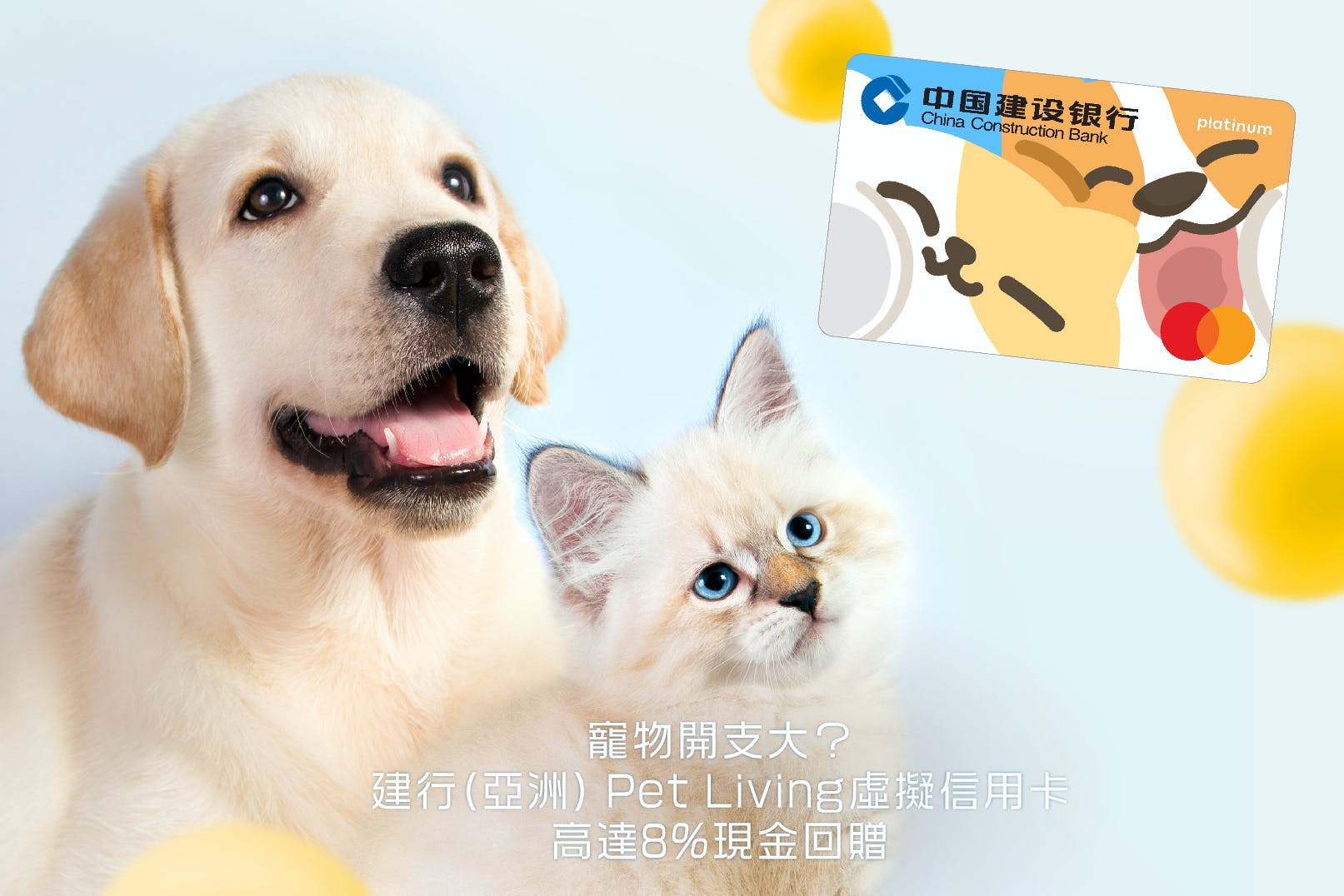 寵物洗費一個月要幾多？寵物信用卡慳錢攻略！