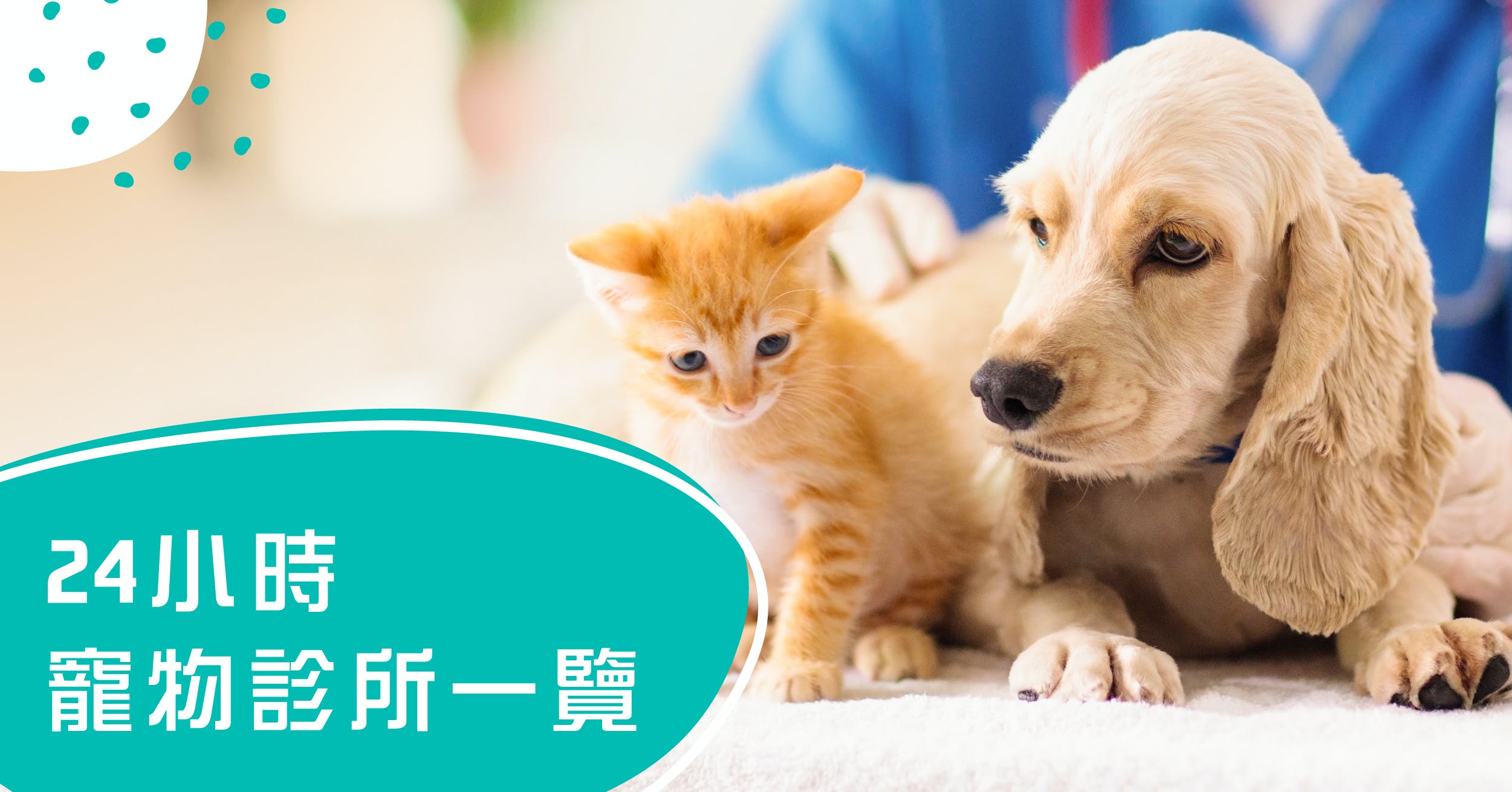 獸醫診所名單| 24小時/全港寵物、動物醫院一覽